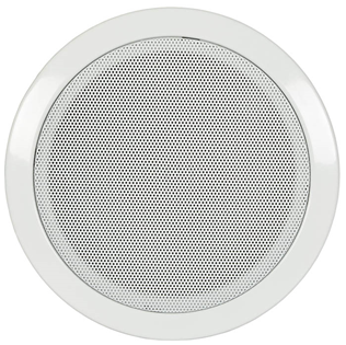 Ceiling Speaker with Fire dome 