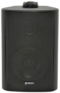 100 Volt Background Speaker 3