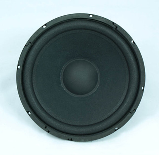 100 WATT BASS DRIVER 10 