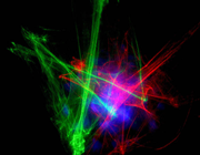POLAR LASER 