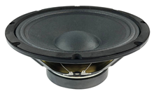 10 Speaker Driver 250W by Citronic 
