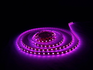 RGB FLEXLED 5M 