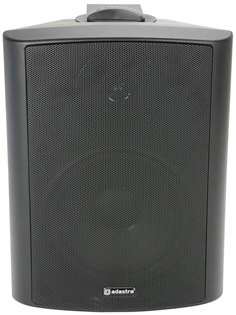 100 Volt Background Speaker 3