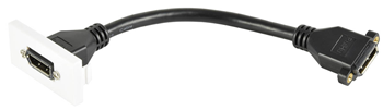 DisplayPort Socket to Female Tail Wall%2 