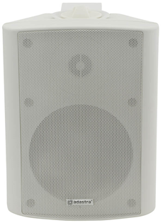 100 Volt Background Speaker 3