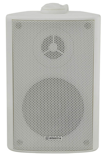 100 Volt Background Speaker 3