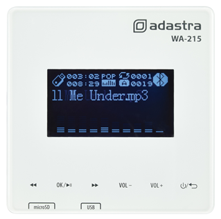 Wall Amp with USB/MicroSD Player, FM%2 