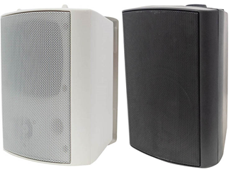 100 Volt Background Speaker (Pair) - 