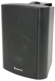 100 Volt Background Speaker 3