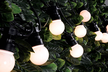 Outdoor LED Festoon Lights 240V - Choi 