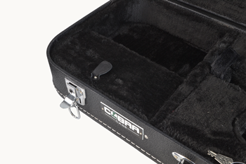 Mandolin Case F Style by Cobra 