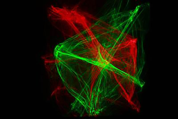 Rainbow 2 in 1 Laser 