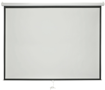 Manual Projector Screen 100