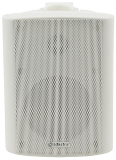 100 Volt Background Speaker 3