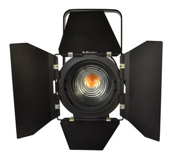 LED Fresnel 100W Warm White Stage Spot 