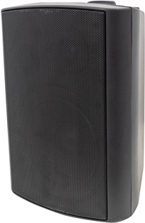 100 Volt Background Speaker (Pair) - 