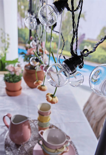 Battery Powered String Light Set with  