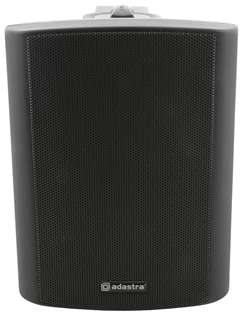 100 Volt Background Speaker 3