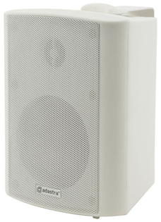 100 Volt Background Speaker 3