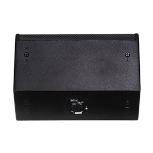 12 Inch Passive Stage Monitor 