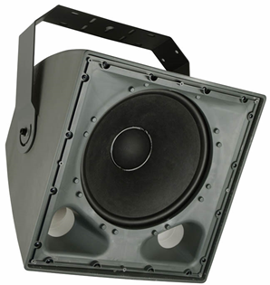 100 Volt Outdoor Subwoofer 15