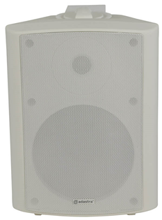 100 Volt Background Speaker 3