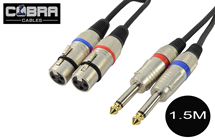 Two XLR Female To Two Mono 1/4