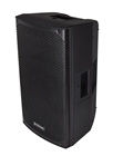 10 Passive Speaker Cabinet  220W