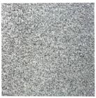Sound Absorption Tile 600 x 600mm with 