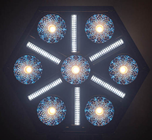 BTX-Skyran LED Effects Light with Blinde 