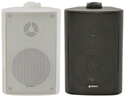 100 Volt Background Speaker 3,4, 