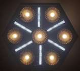 BTX-Skyran LED Effects Light with Blinde 
