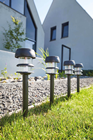 LED Solar Spike Light - Pack of 24 