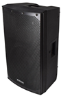 12 Passive Speaker Cabinet 300W 