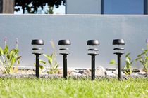 LED Solar Spike Light - Pack of 24 