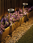 Solar LED Garden Spike Lights with Ora 