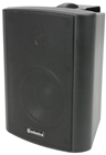 100 Volt Background Speaker 3