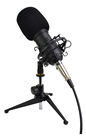 Studio Recording Microphone Complete With% 