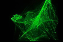 Rainbow 2 in 1 Laser 
