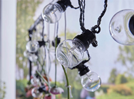 Battery Powered String Light Set with  