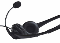 USB Multimedia Headset with Boom Microph 