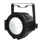 Performer 200 Quad LED Stage Par Can 