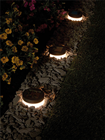 LED Solar Powered Ground Light - Pack% 