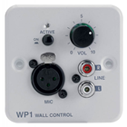 Audio Input Wall Panel for ZAMP4120 an 