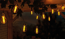 Solar Powered String Light with 15 LED 