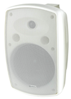 100 Volt Background Speaker IP44 Rated%2 