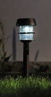 LED Solar Spike Light - Pack of 24 