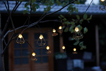 Solar String light with 10 LED Lights 